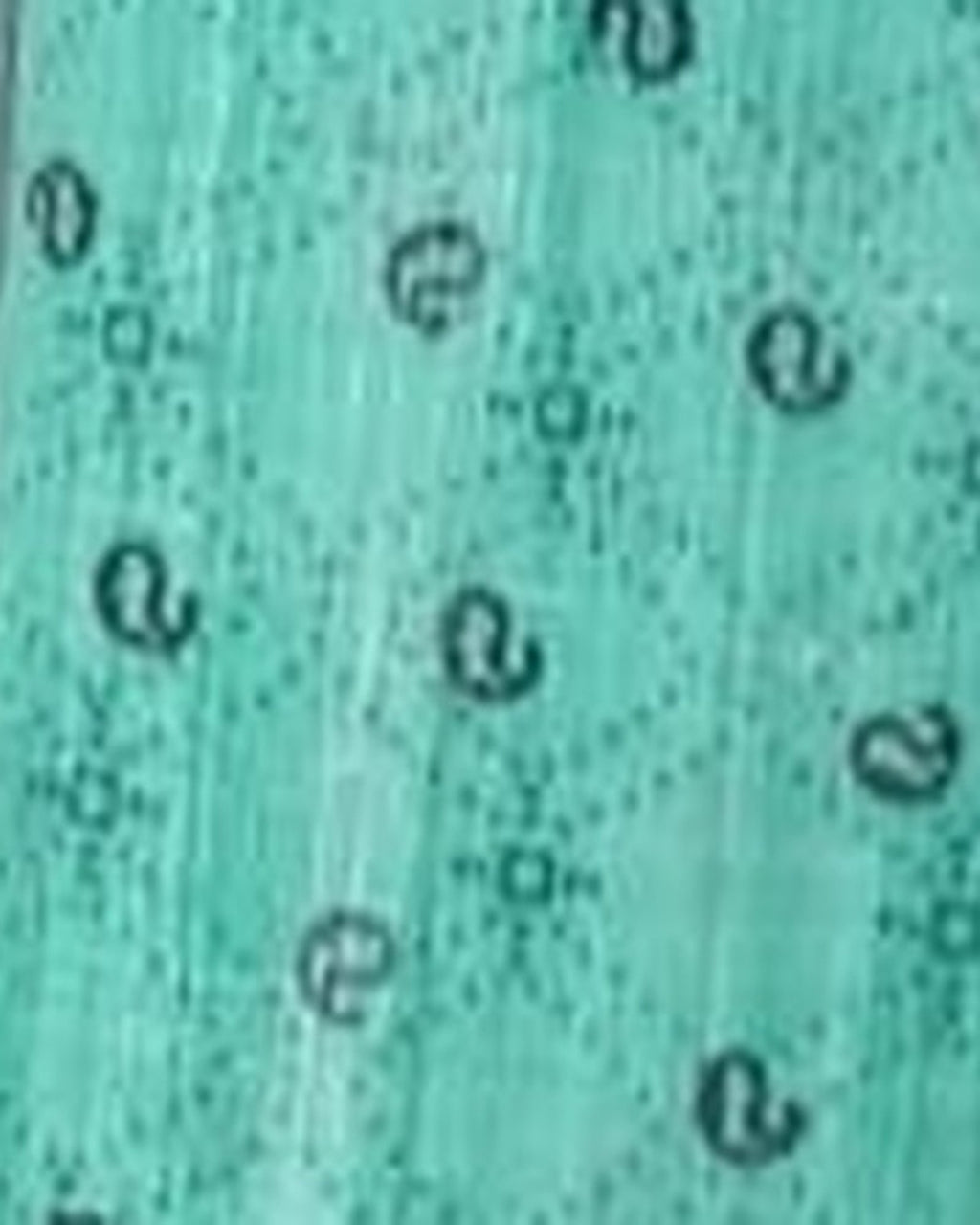 Mint Paisley Print kurta pajama set for men, fabric close-up