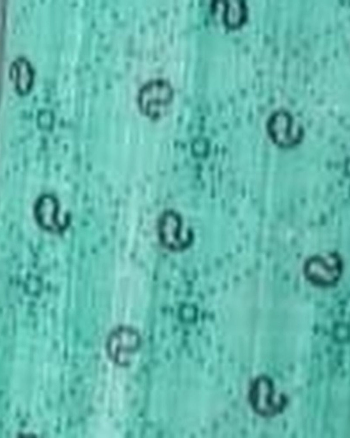Mint Paisley Print kurta pajama set for men, fabric close-up