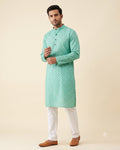 Mint Paisley Print kurta pajama set for men, front view, full length